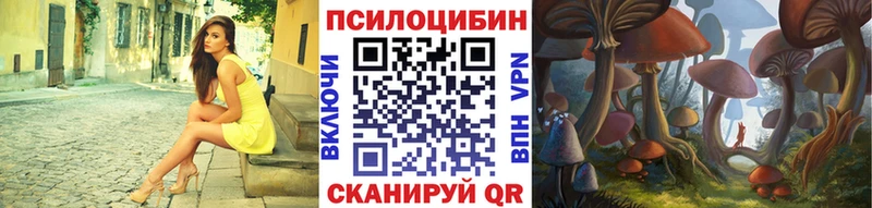 Псилоцибиновые грибы Psilocybine cubensis  Купить закладки  Бабушкин 