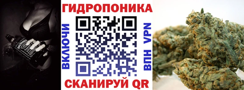 Бошки Шишки семена  Купить где  Бабушкин 